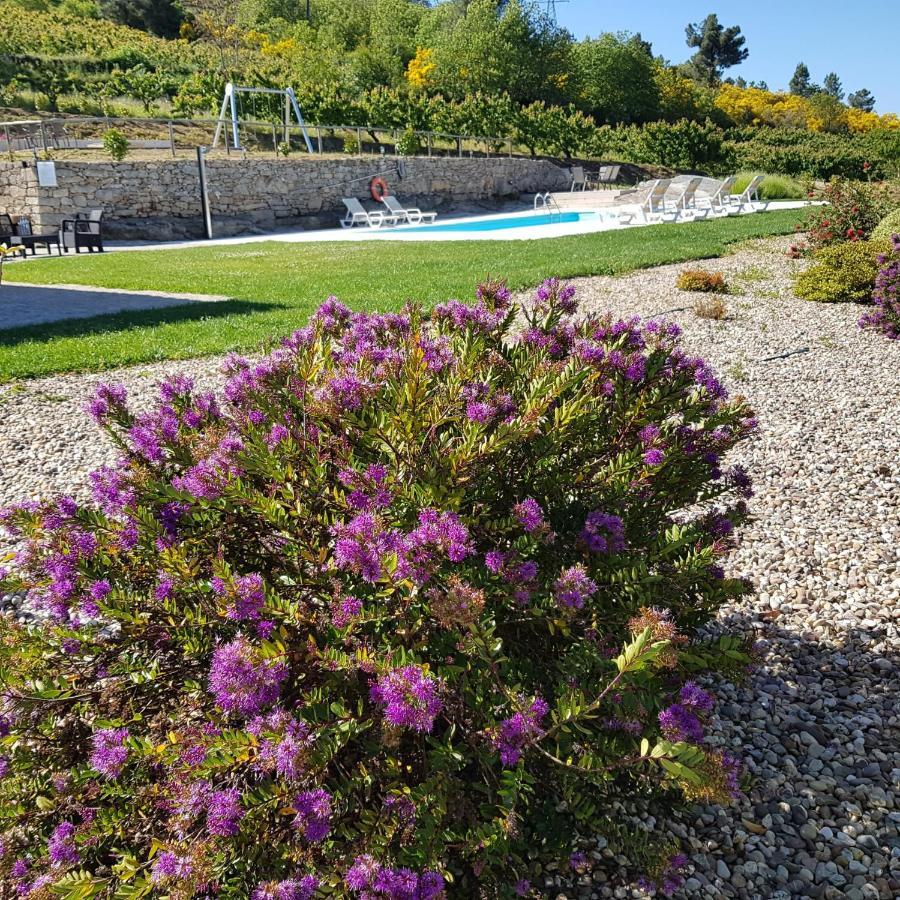 Quinta Bemboa Turismo Espaco Rural Aricera Экстерьер фото