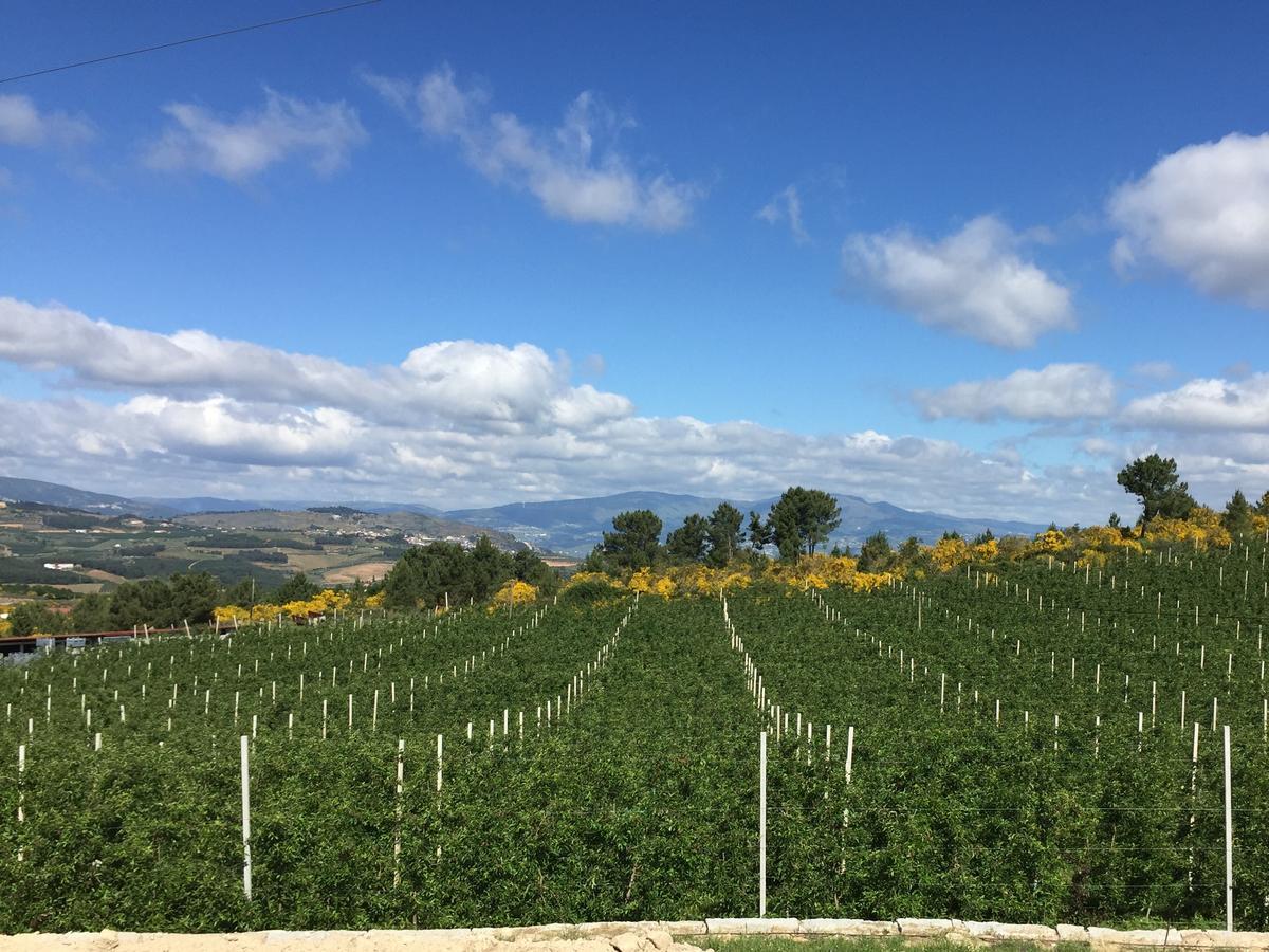Quinta Bemboa Turismo Espaco Rural Aricera Экстерьер фото
