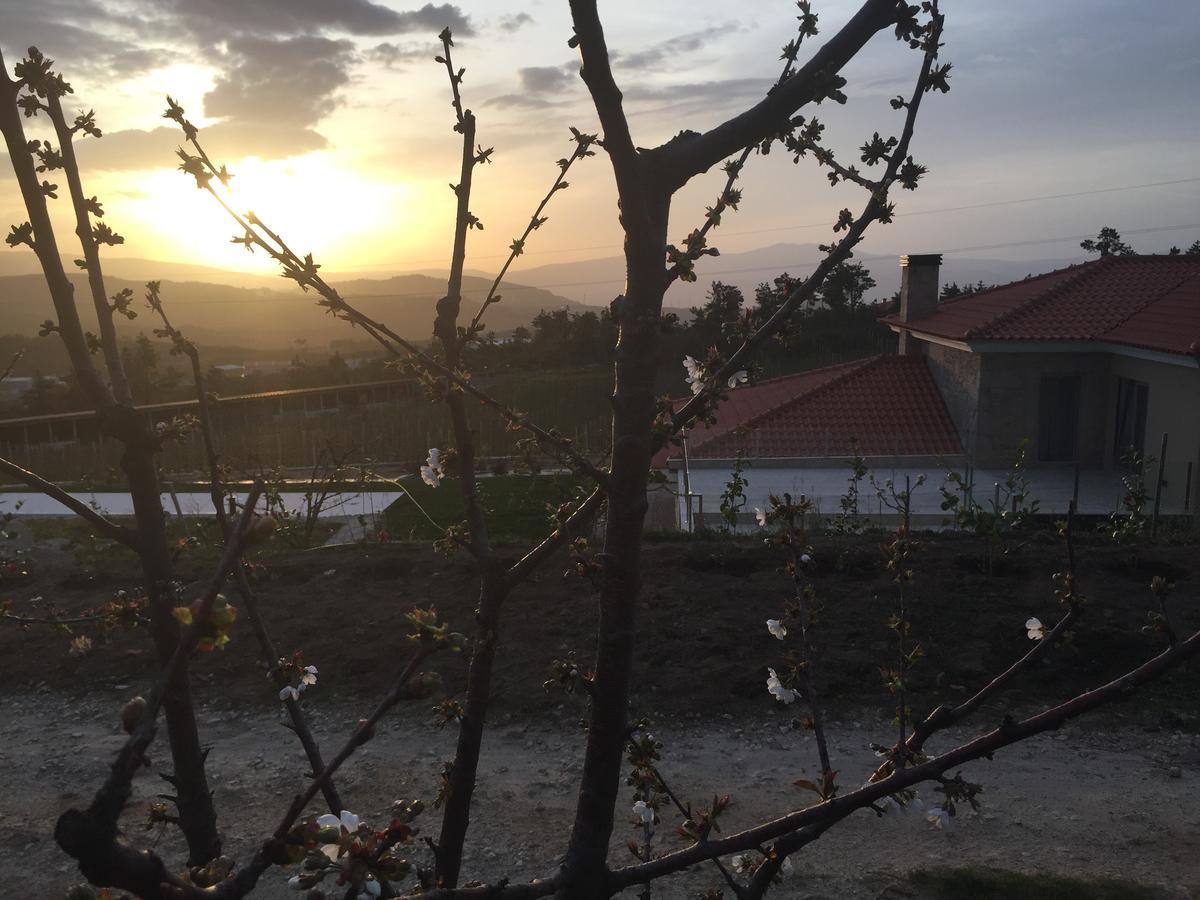 Quinta Bemboa Turismo Espaco Rural Aricera Экстерьер фото