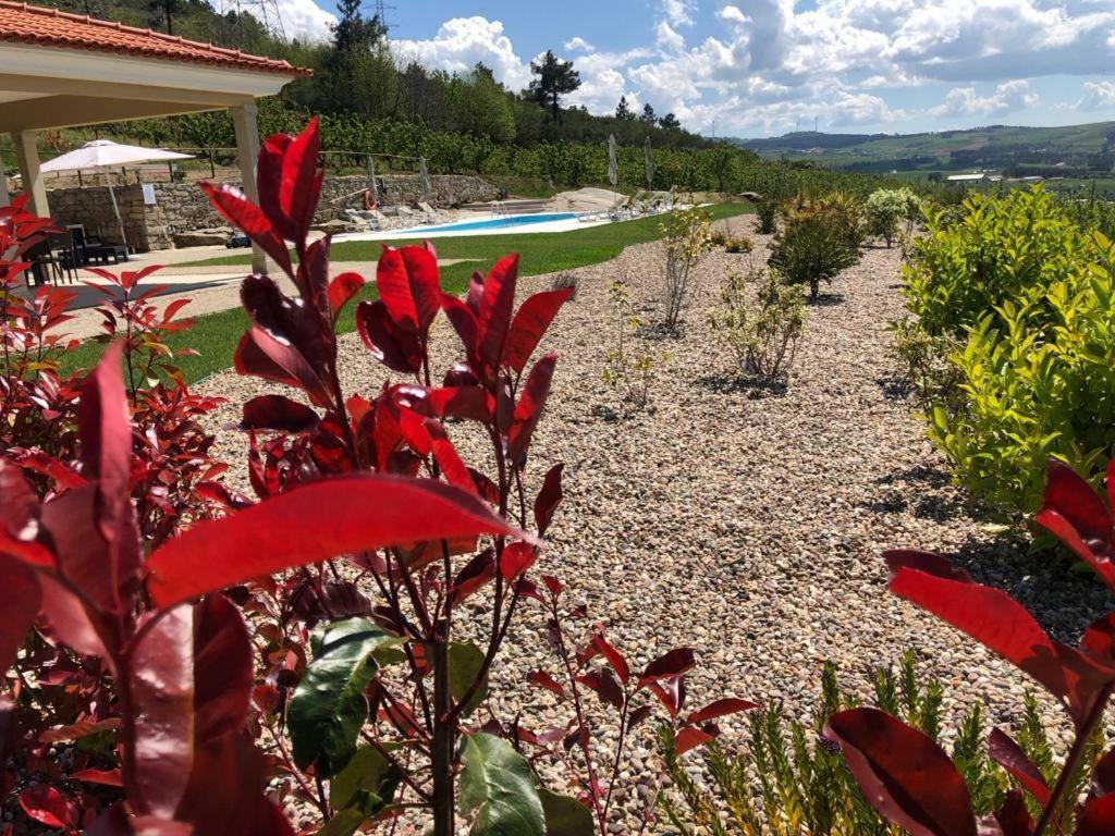 Quinta Bemboa Turismo Espaco Rural Aricera Экстерьер фото