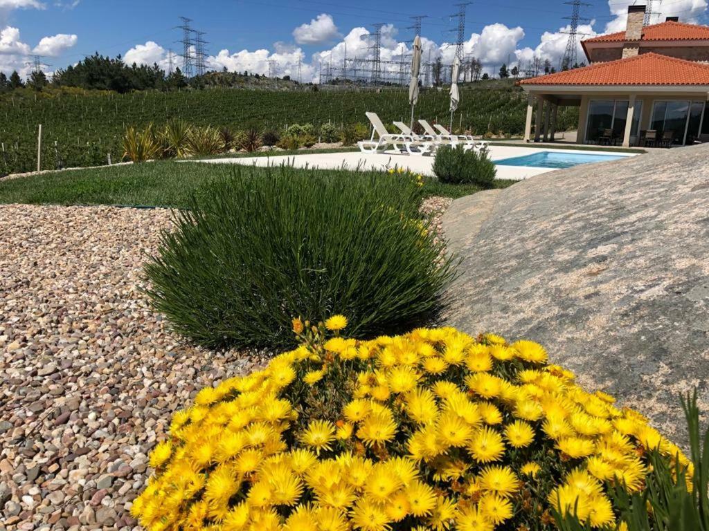 Quinta Bemboa Turismo Espaco Rural Aricera Экстерьер фото